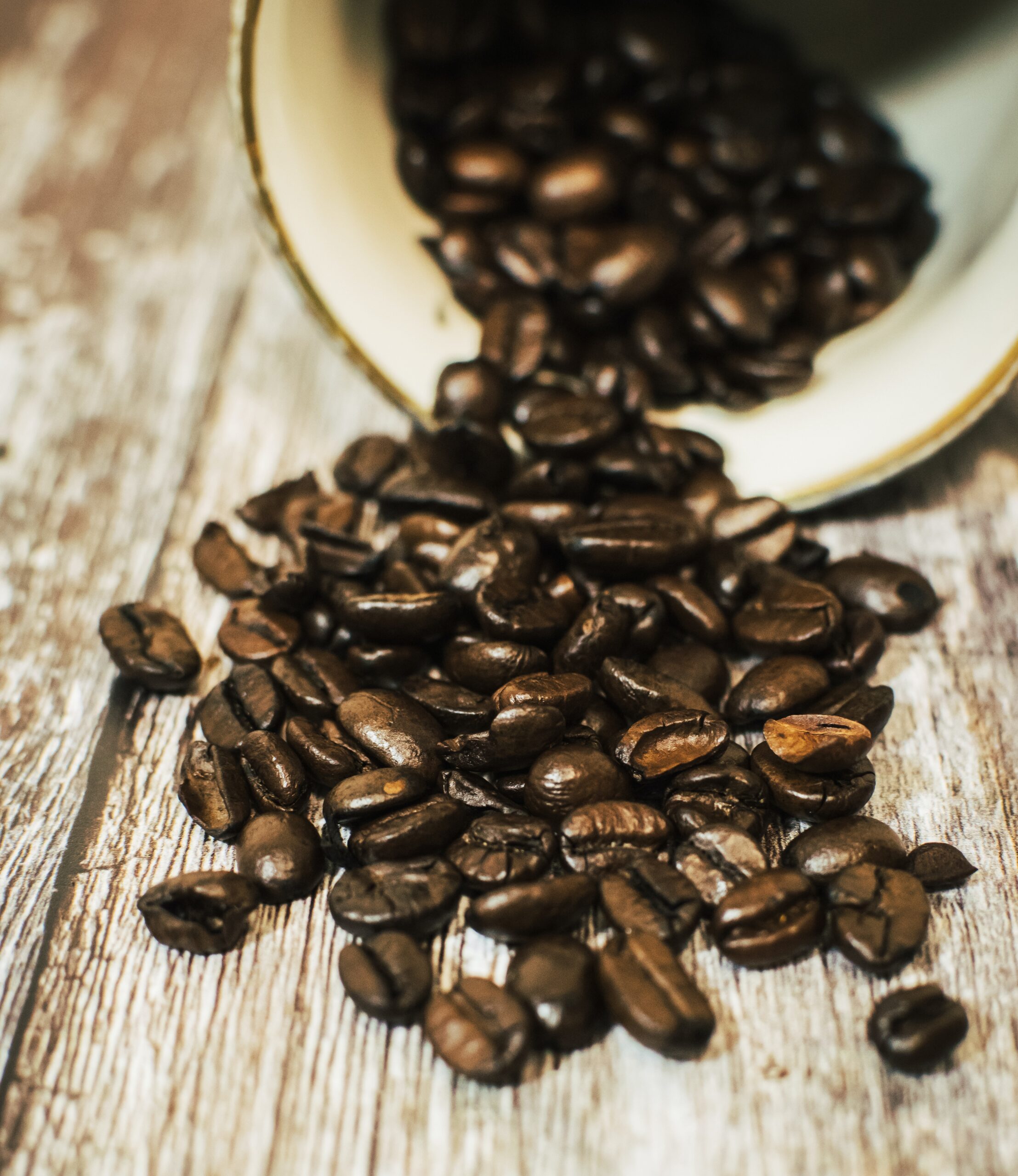 Liberica Coffee The Savior of an Industry in Crisis